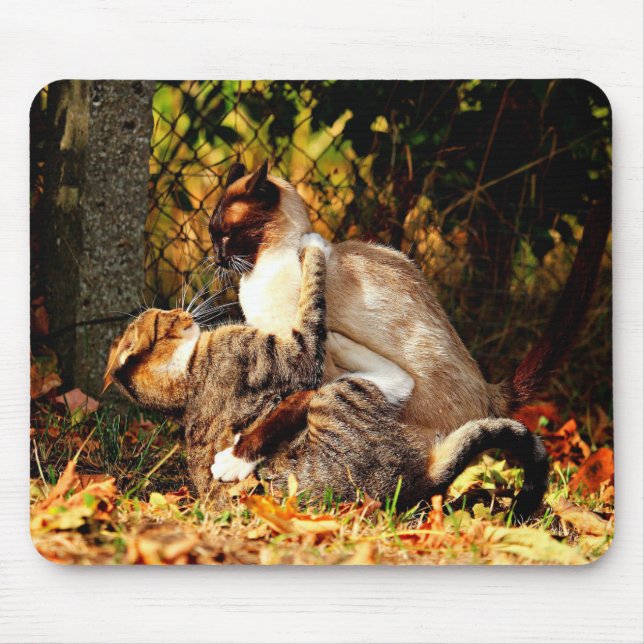 Mousepad de Gatos (Frente)