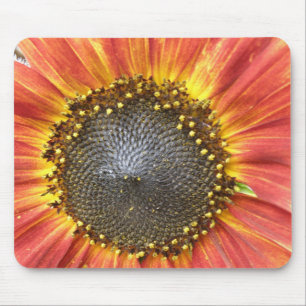 Mousepad de girassol vermelho e amarelo
