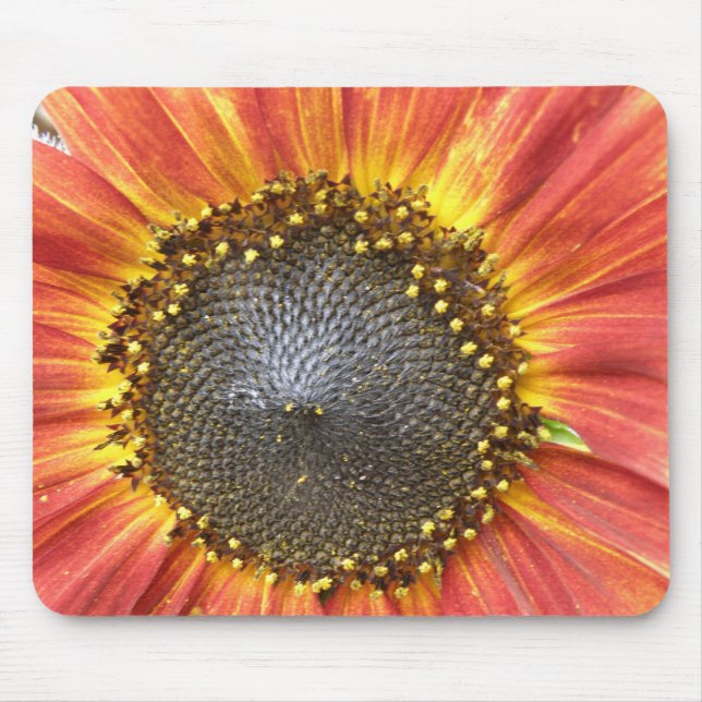 Mousepad de girassol vermelho e amarelo (Frente)