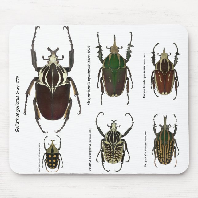 Mousepad de Goliath (Frente)