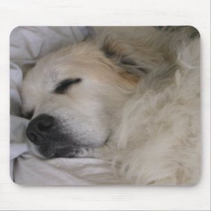 Mousepad de grandes pyrenees