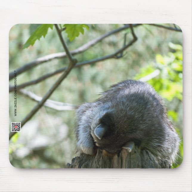 Mousepad de Guaxinim (Frente)