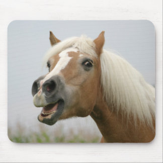 Mousepad de Haflinger