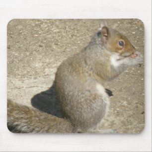 Mousepad de Horatio com Fome de Esquilo