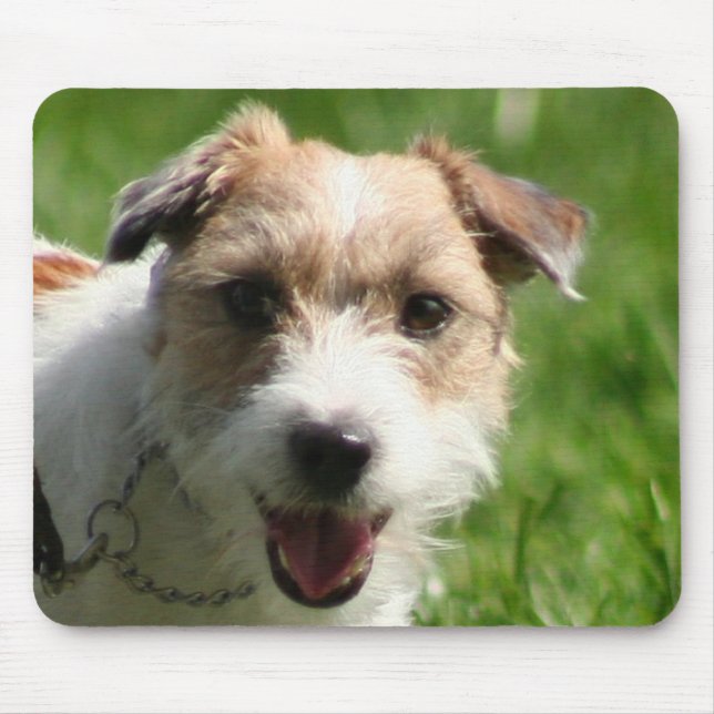 Mousepad de Jack Russell Terrier (Frente)