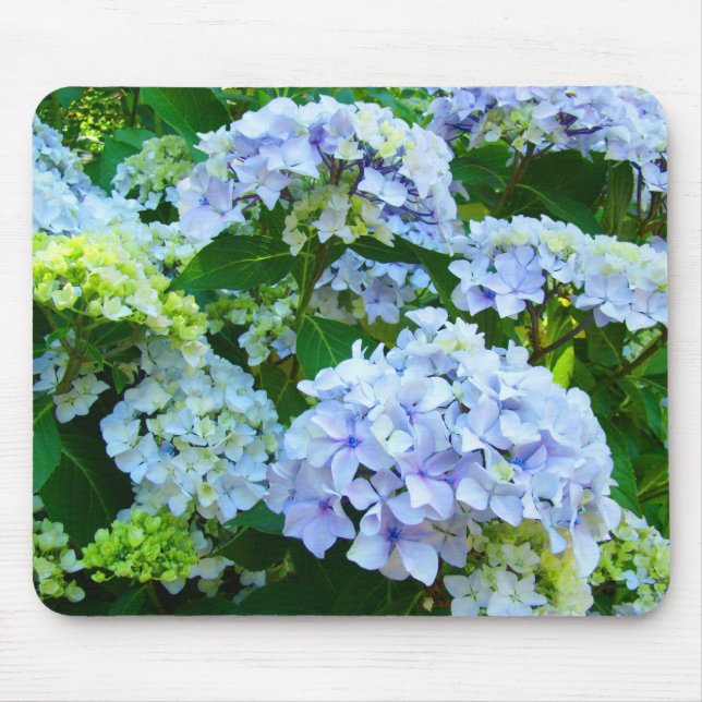 Mousepad de jardim de flores de hortênsia azul pas (Frente)