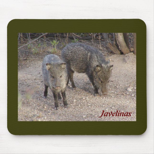 Mousepad de Javelinas (Frente)