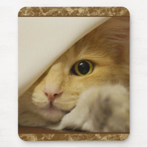 Mousepad de Kitten Amarelo e Bonito