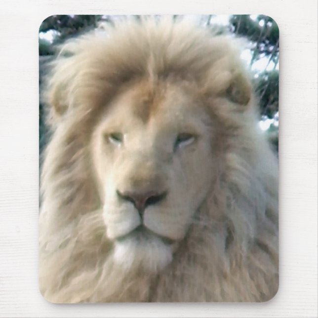 Mousepad de Leão (Frente)