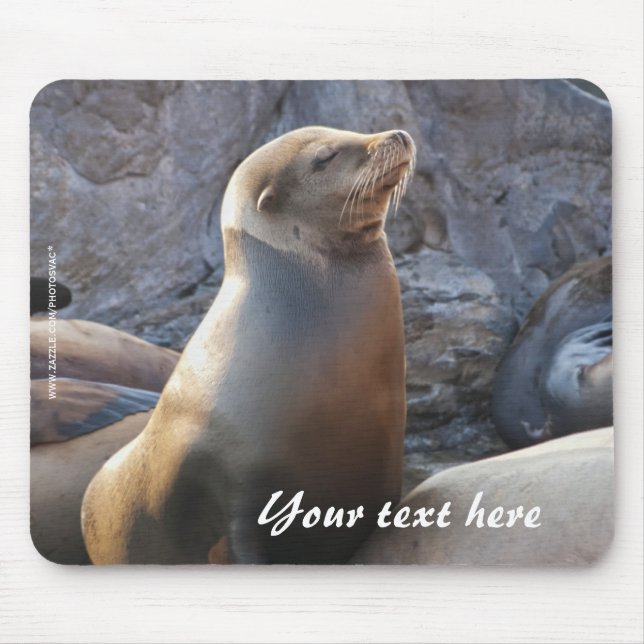 Mousepad de Leão-Marinho (Frente)