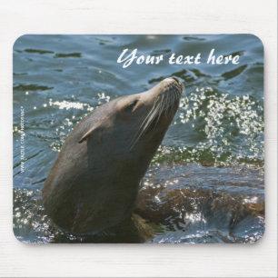 Mousepad de Leão Marinho