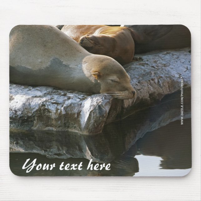 Mousepad de Leões Marinhos (Frente)