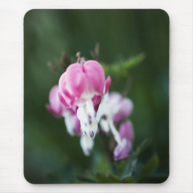 Mousepad de Linha Coral Quebrada para Cima (Frente)