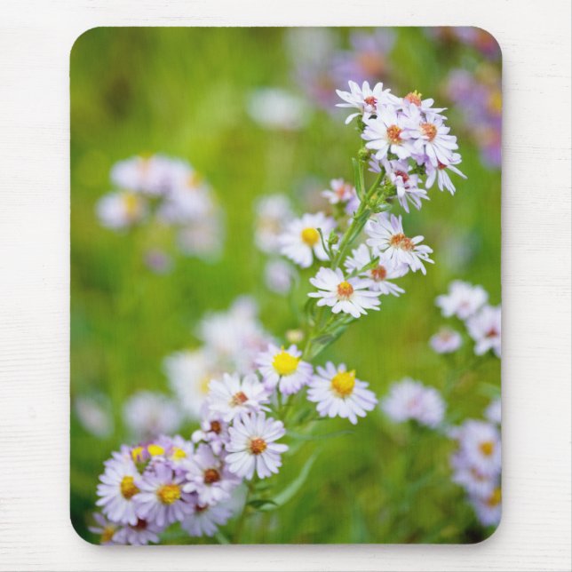 Mousepad de Linhagem de Beleza (Frente)