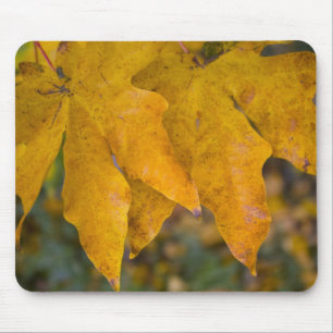 Mousepad de Maple Grande Folha
