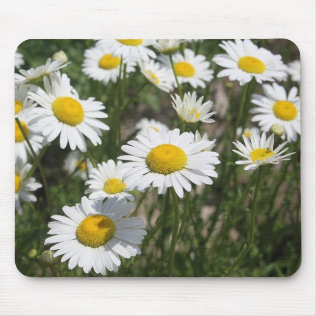 Mousepad de margarida de verão (Frente)