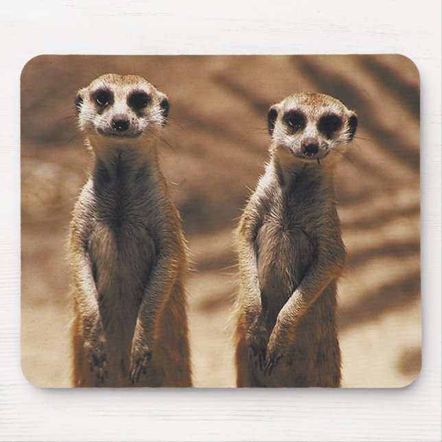 Mousepad de Meerkat (Frente)