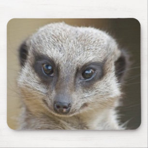 Mousepad De Meerkat fim acima