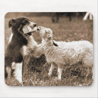Mousepad De "~Mousepad border collie e do cordeiro "