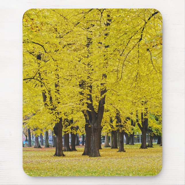 Mousepad de Outono (Frente)