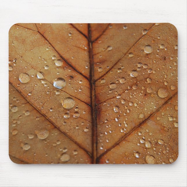 Mousepad de Outono (Frente)