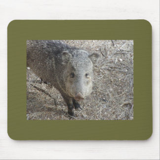 Mousepad de P1010073 Javelina