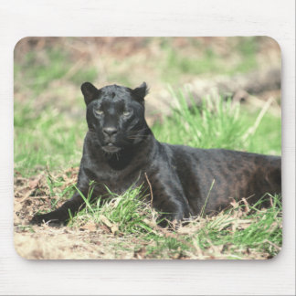 Mousepad de Pantera Preta