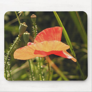 Mousepad de Papoula