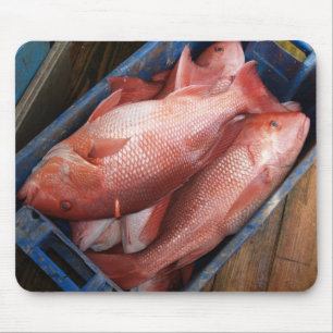 Mousepad de Peixe Vermelho Instantâneo
