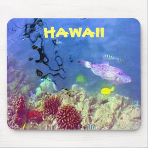 Mousepad de Peixes do Havaí