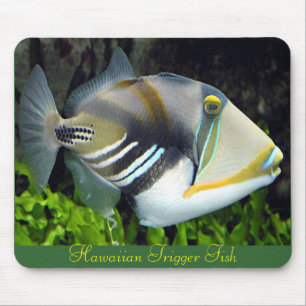Mousepad de Peixes Tropicais do Havaí
