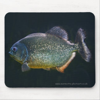 Mousepad de Piranha