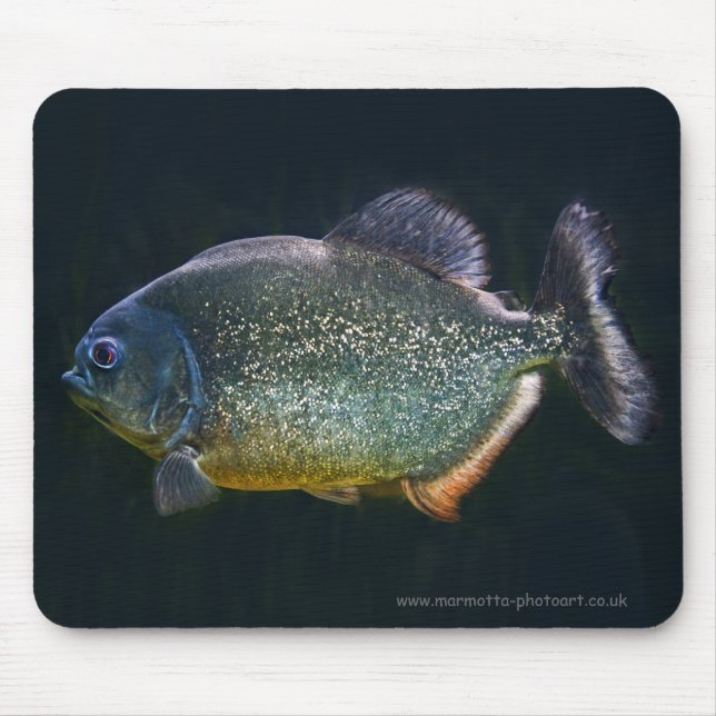 Mousepad de Piranha (Frente)