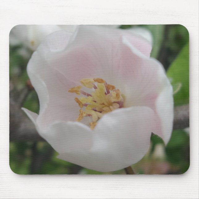 Mousepad de Pureza (Frente)