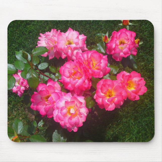 Mousepad de Rosa rosa quente (Frente)