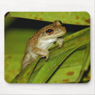 Mousepad de sapo de árvore sorridente