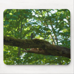 Mousepad de Sobreposição de Floresta