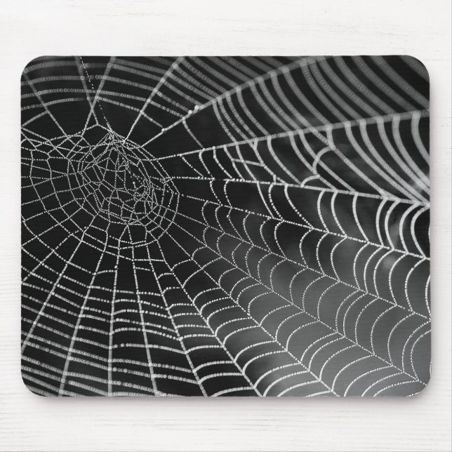 Mousepad de Spiderweb (Frente)