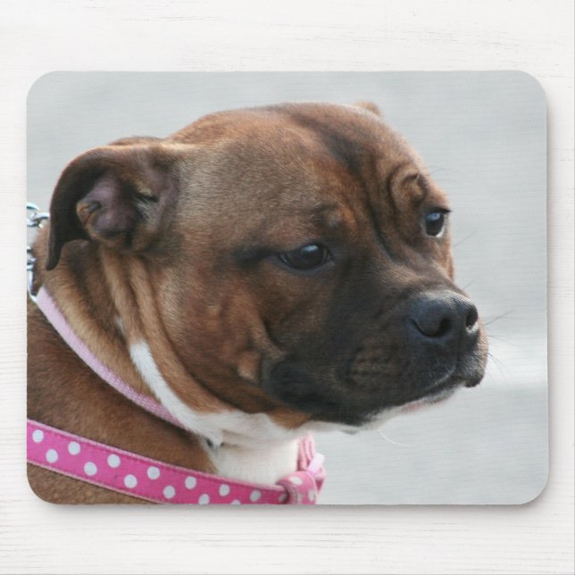 Mousepad de Staffordshire bull terrier (Frente)