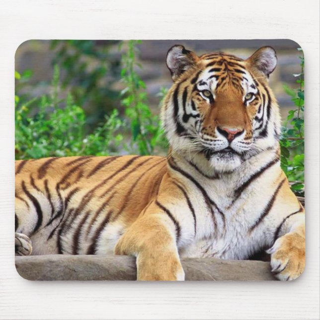 Mousepad de tigre siberiano (Frente)