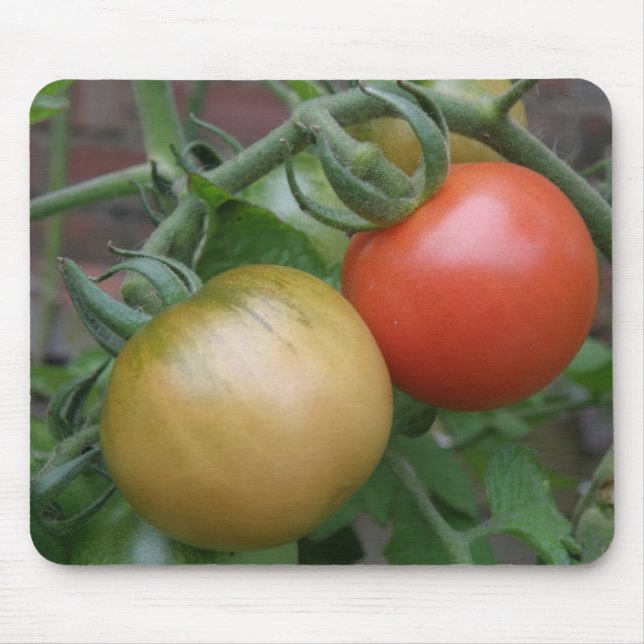 Mousepad de tomate laranja e vermelho (Frente)