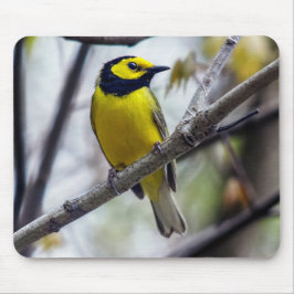 Mousepad de Warbler Hooded