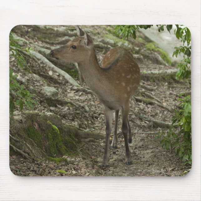 Mousepad Deer (Frente)