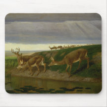 Deer on the Prairie (por William Holbrook Beard)