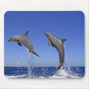 Mousepad Delfin 2