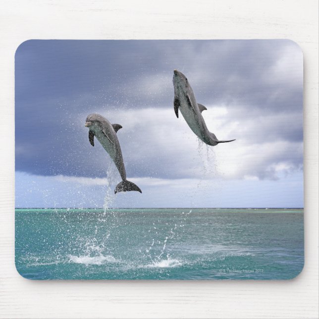 Mousepad Delfin,Delphin,Grosser Tuemler,Tursiops 2 (Frente)