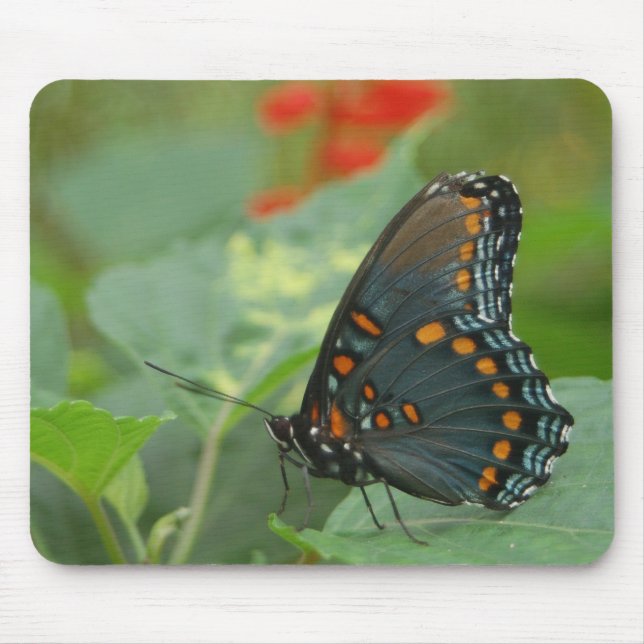 Mousepad Delicar borboleta (Frente)