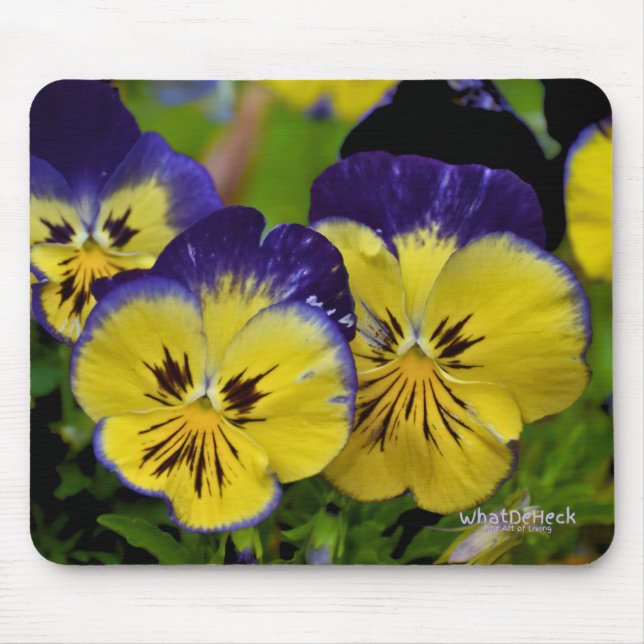 Mousepad Delicioso (Frente)