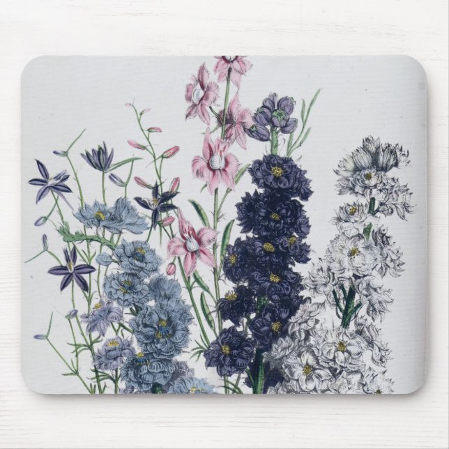 Mousepad Delphiniums, "da flor Garden das senhoras" (Frente)