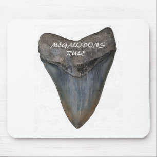 Mousepad Dente do tubarão de Megalodon